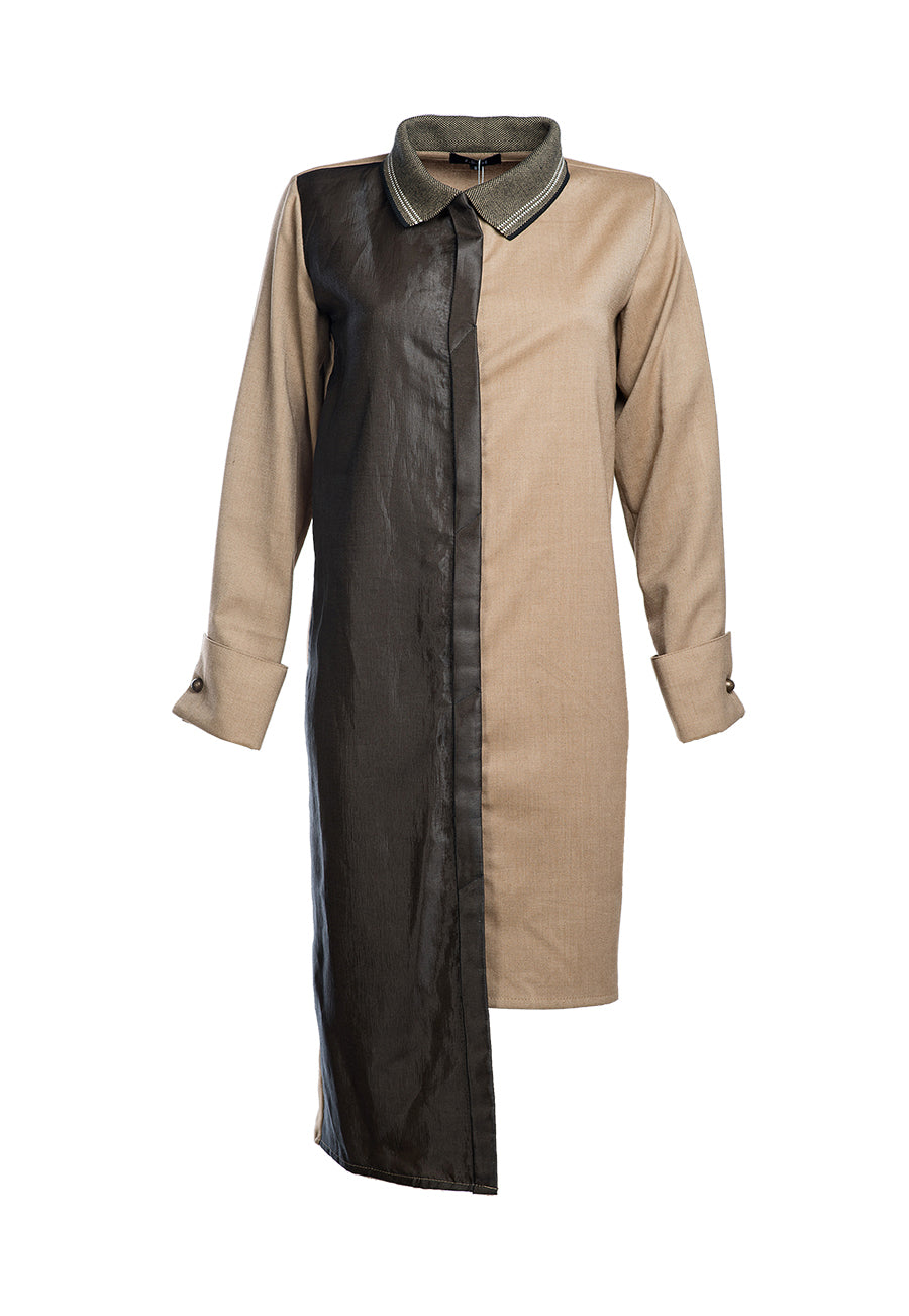 Asymmetric Paneled Dress