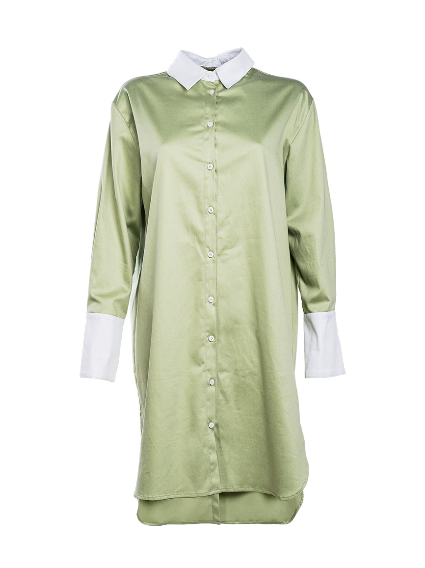 Wings Shirt Dress