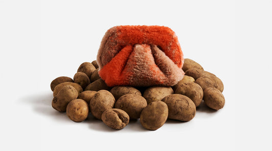  THEMOIRè’s Bio-Based Innovation