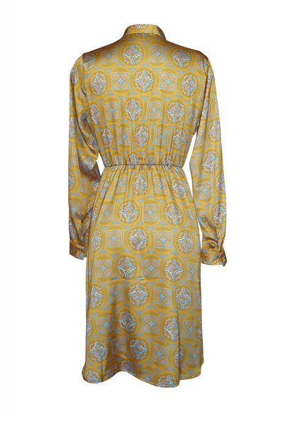 Dreams Silky Dress back view