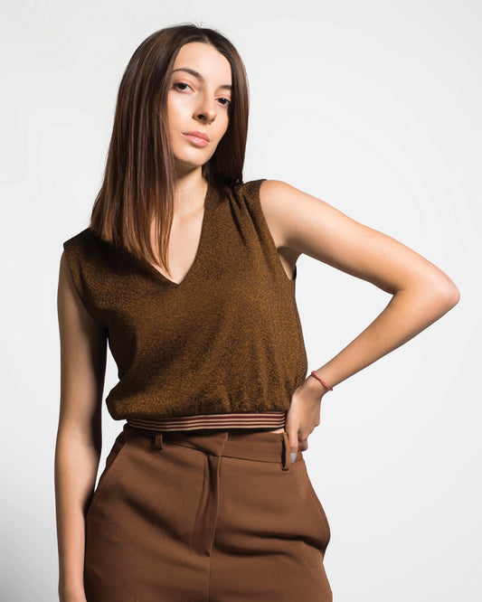 Model Wearing Brown Metallic Cropped Top